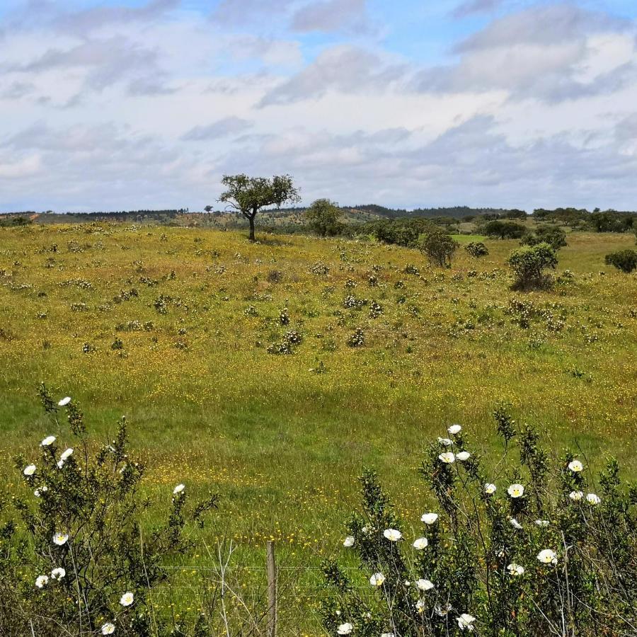 ホテル Refugio Do Bem Estar Cercal do Alentejo エクステリア 写真