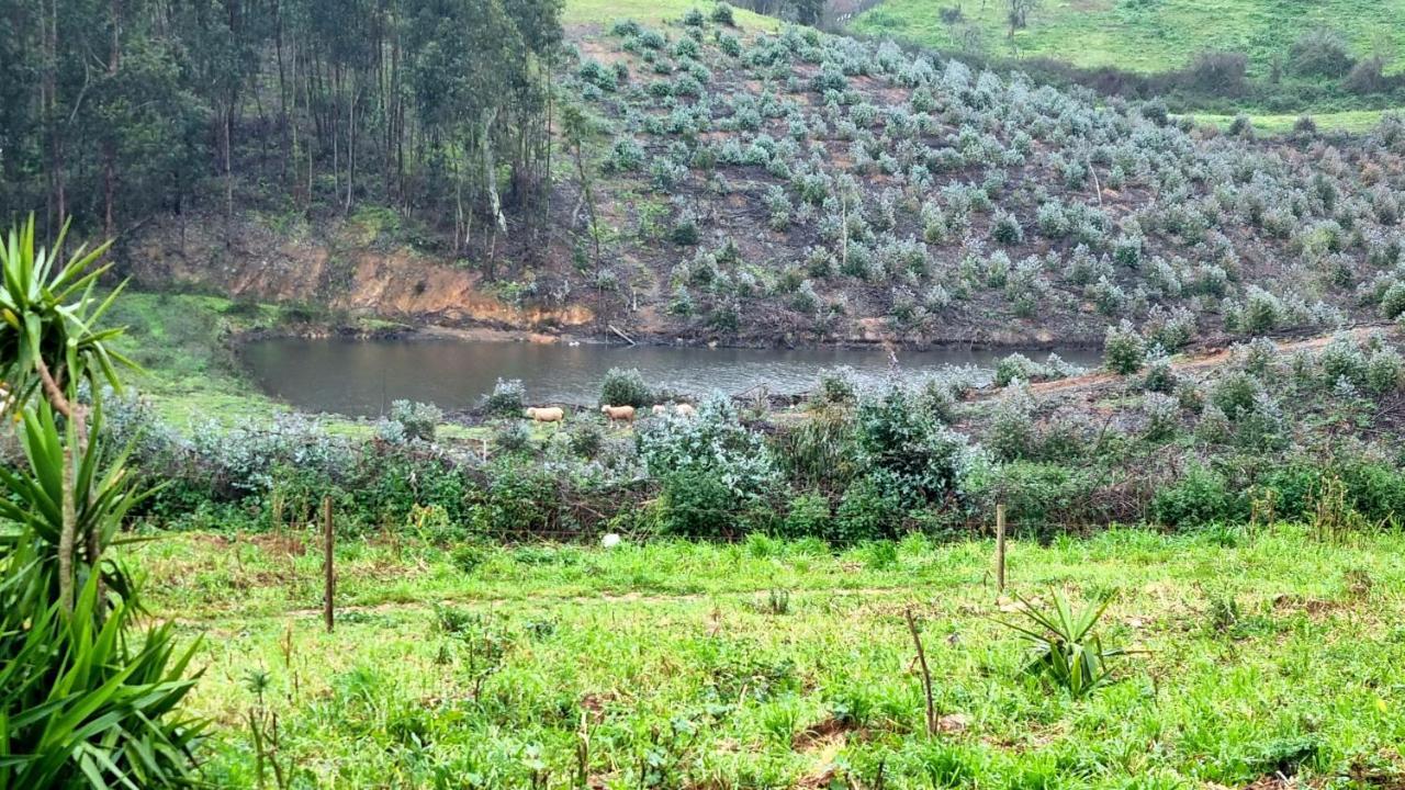ホテル Refugio Do Bem Estar Cercal do Alentejo エクステリア 写真